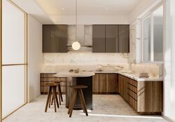 Four Seasons Park (D10), Condominium #550577391